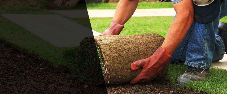 South Glastonbury Landscapers